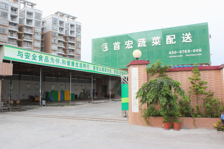 潮州蔬菜配送